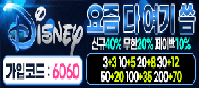 12년차 무사고 놀이터 디즈니