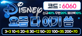 12년차 무사고 놀이터 디즈니